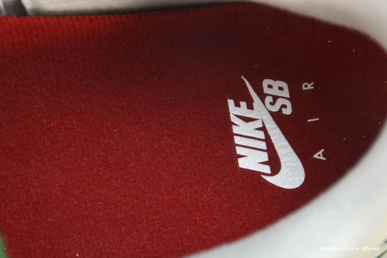 Pine  Green Retro  DR5415-103  DR5415-103 Jordan SB 4 0326